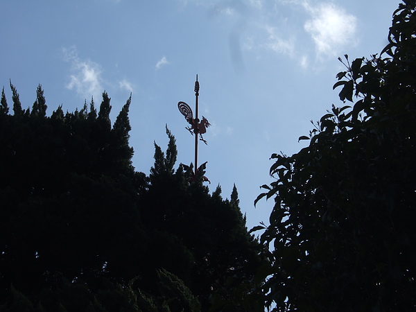 DSCF3371.JPG DSCF3371.JPG