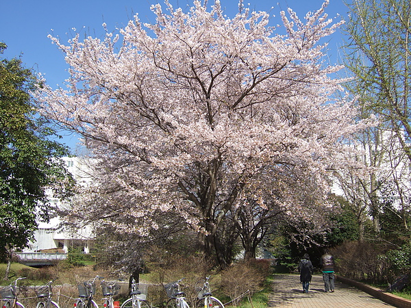DSCF3922.JPG