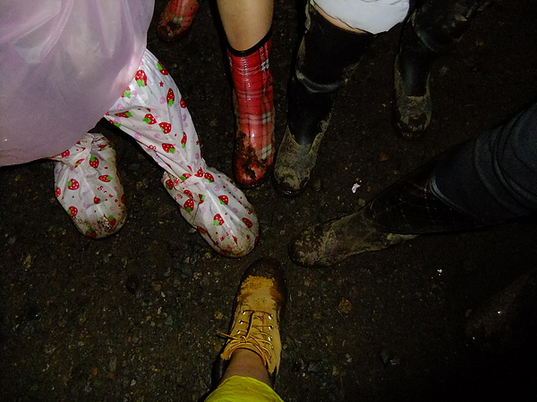 DSCF2350.JPG DSCF2350.JPG
