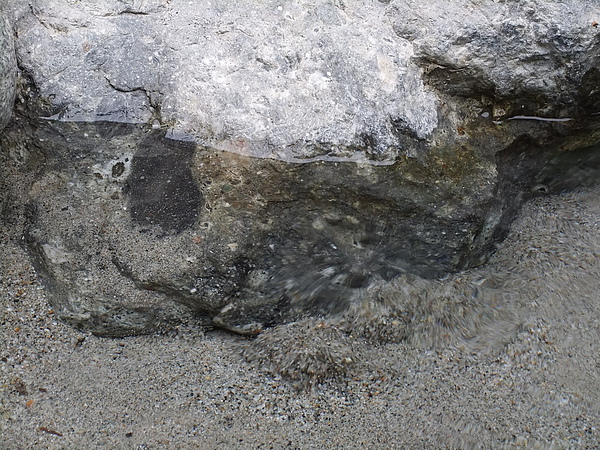 DSCF1222.JPG