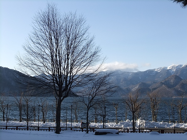 DSCF7587.JPG DSCF7587.JPG