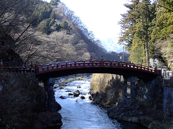 DSCF7493.JPG DSCF7493.JPG