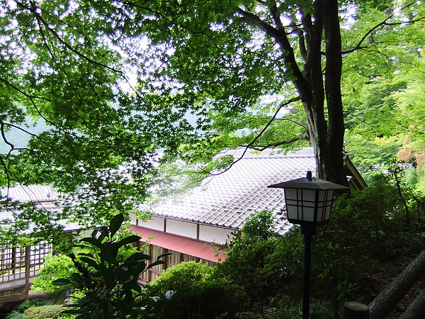 DSCF2878.JPG DSCF2878.JPG