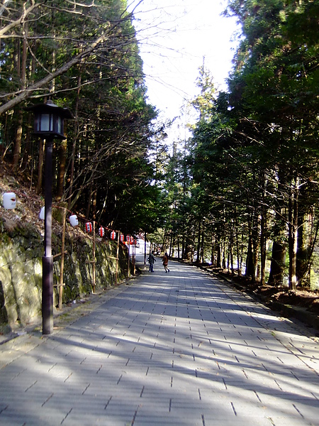 DSCF7855.JPG DSCF7855.JPG