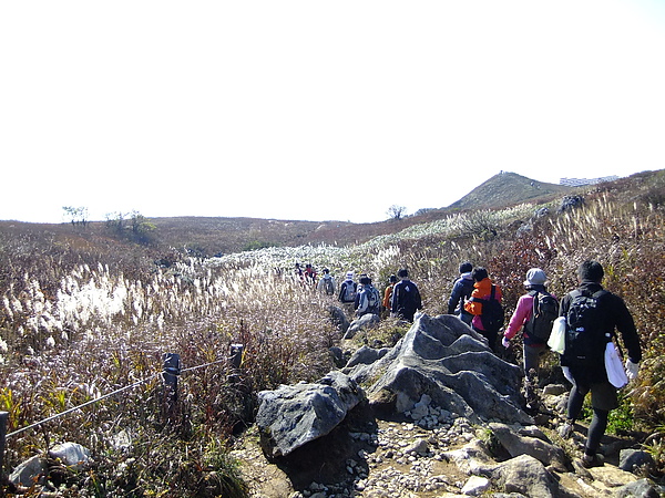 DSCF5406.JPG DSCF5406.JPG