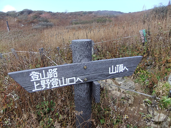 DSCF5343.JPG DSCF5343.JPG