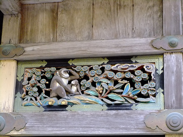 DSCF7778.JPG DSCF7778.JPG