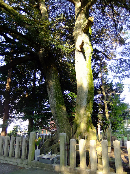 DSCF5269.JPG DSCF5269.JPG