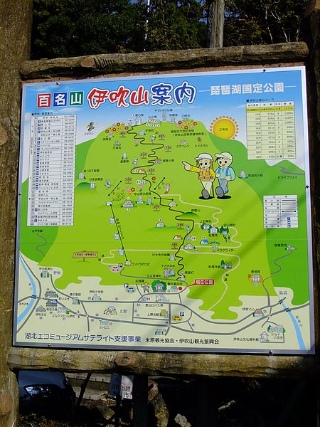 DSCF5291.JPG DSCF5291.JPG