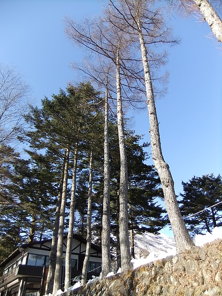 DSCF7566.JPG DSCF7566.JPG