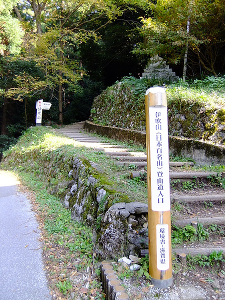 DSCF5292.JPG DSCF5292.JPG