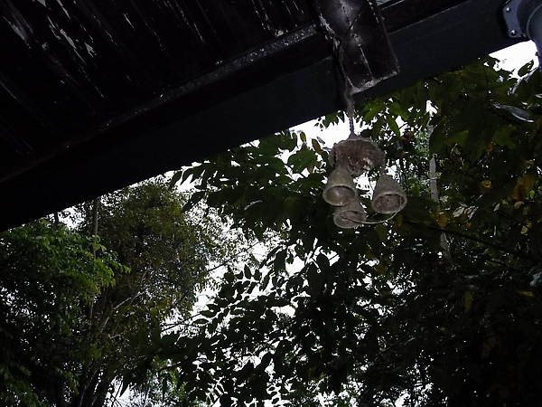DSCF1613.JPG