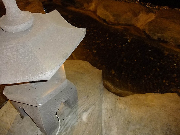 DSCF1629.JPG