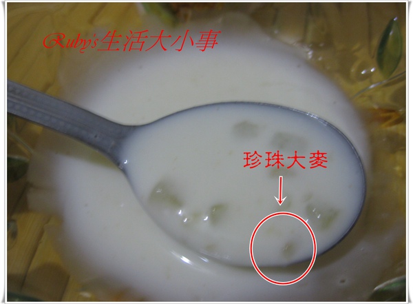 林鳳營-1 (4).JPG