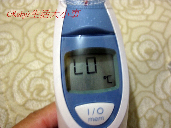 百靈 (7).JPG