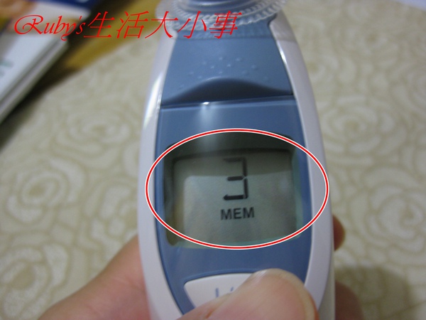 百靈 (9).JPG