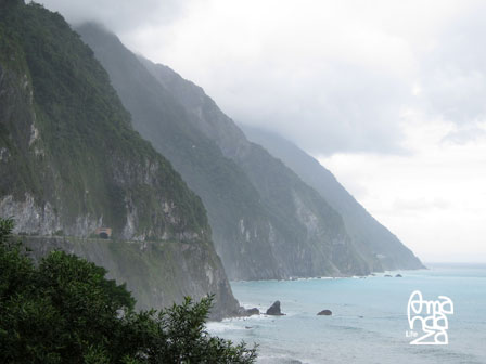 IMG_8519 IMG_8519