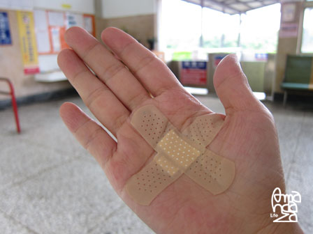 IMG_8568 IMG_8568