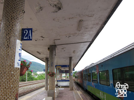 IMG_8743 IMG_8743
