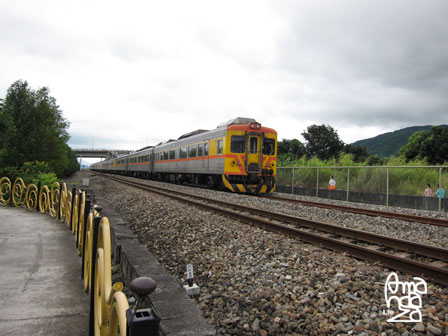 IMG_8766 IMG_8766