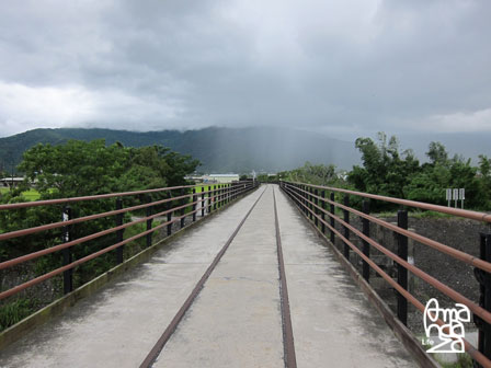 IMG_8806 IMG_8806