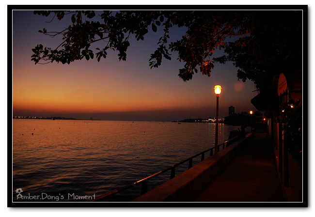 DSC_3669b.jpg DSC_3669b.jpg