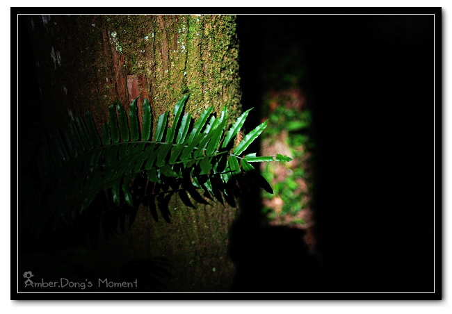 DSC_0209b.jpg DSC_0209b.jpg