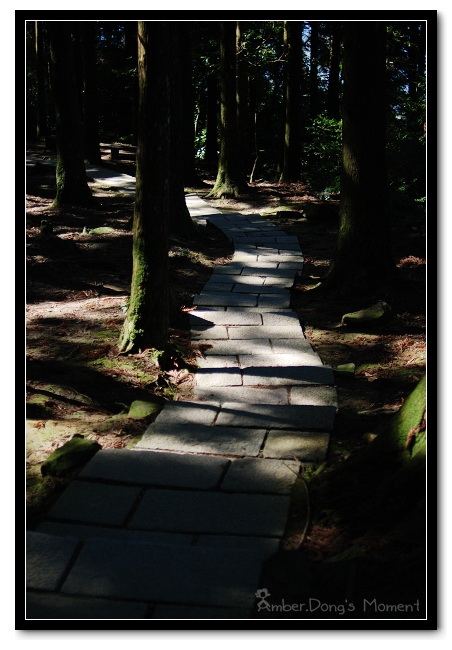 DSC_0223a.jpg DSC_0223a.jpg