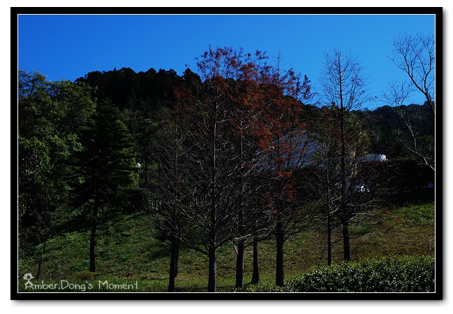 DSC_0234b.jpg DSC_0234b.jpg