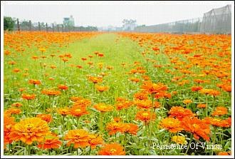 _tDSC00026.jpg _tDSC00026.jpg