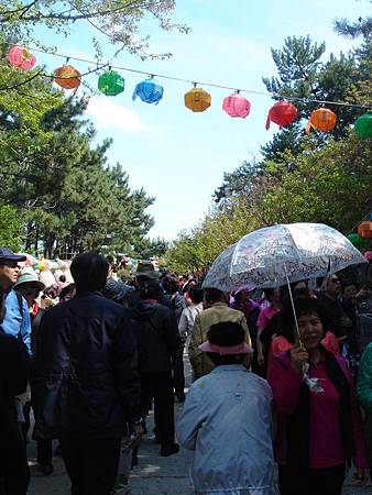 DSC01440