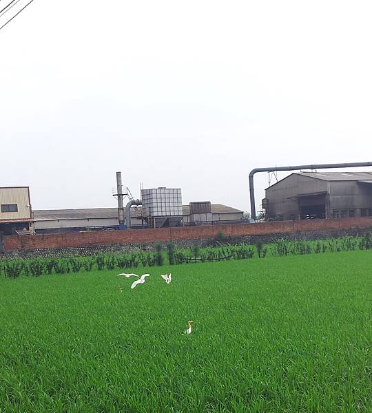 20130418_090032 20130418_090032