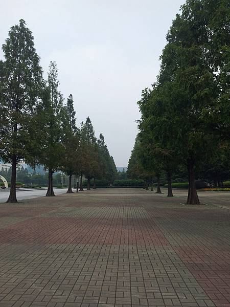 20130809_142522.jpg 20130809_142522.jpg