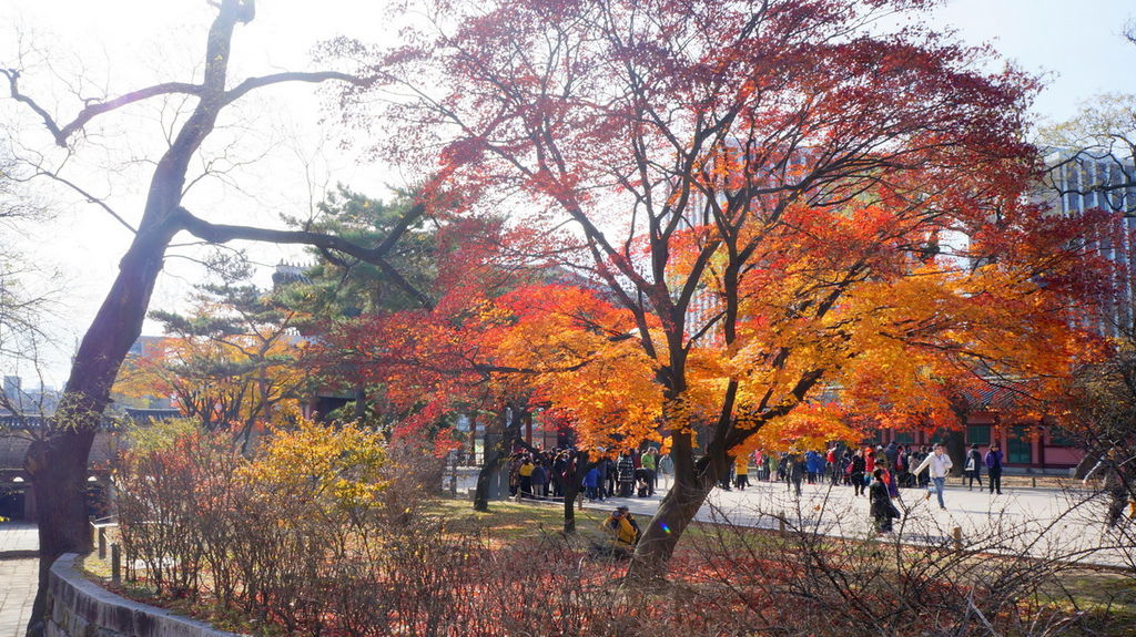 DSC02189.JPG