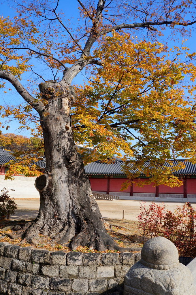 DSC02190.JPG