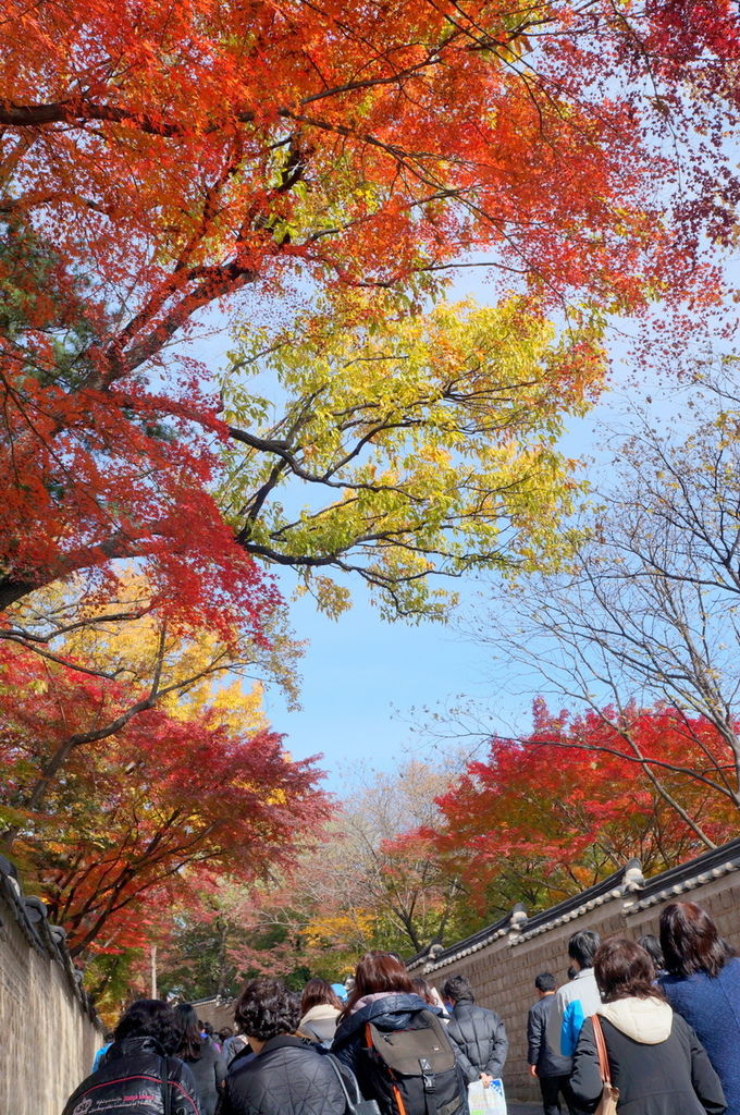 DSC02226.JPG