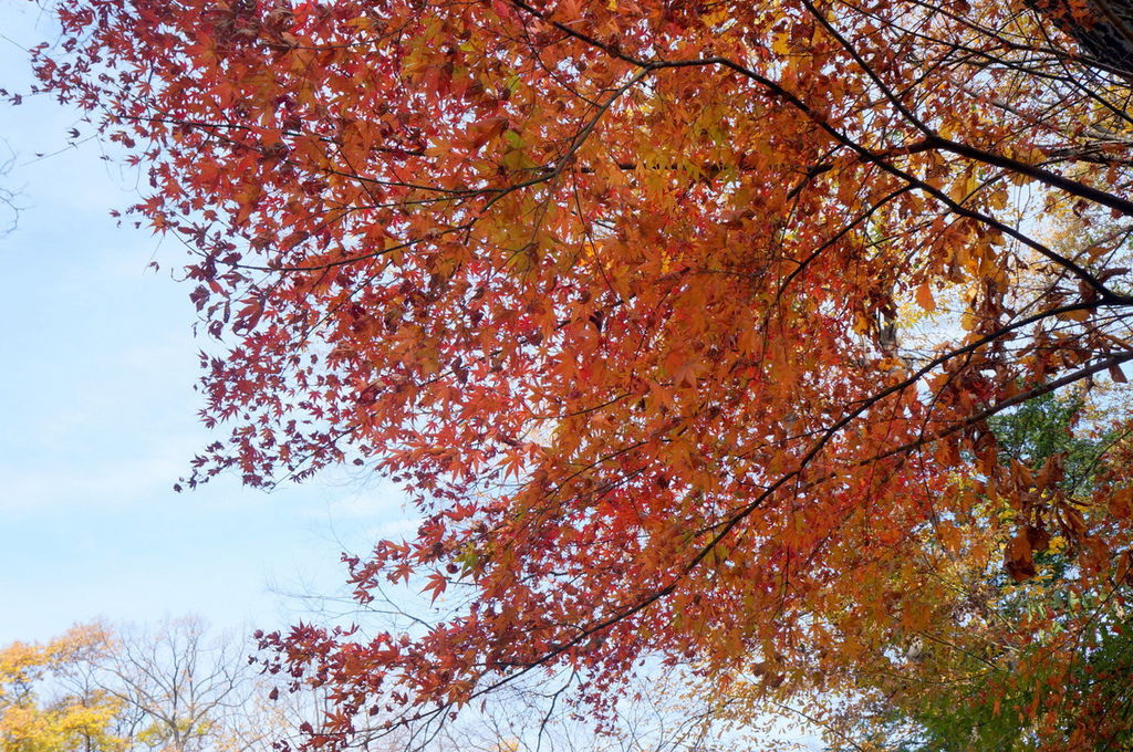 DSC02267.JPG