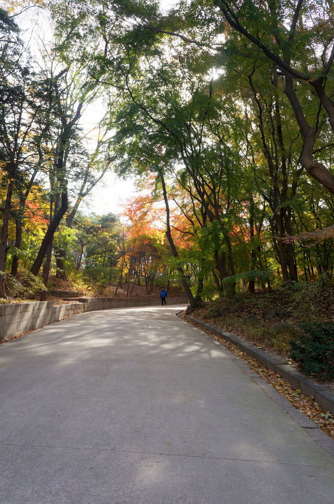 DSC02268.JPG