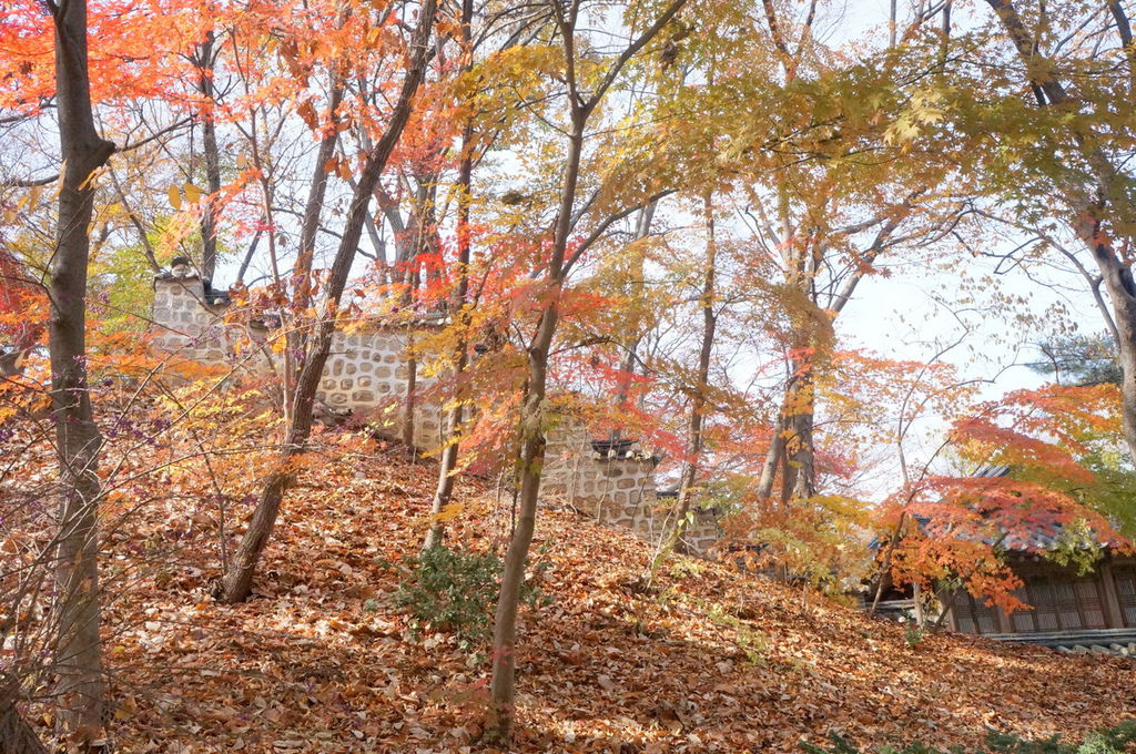 DSC02305.JPG