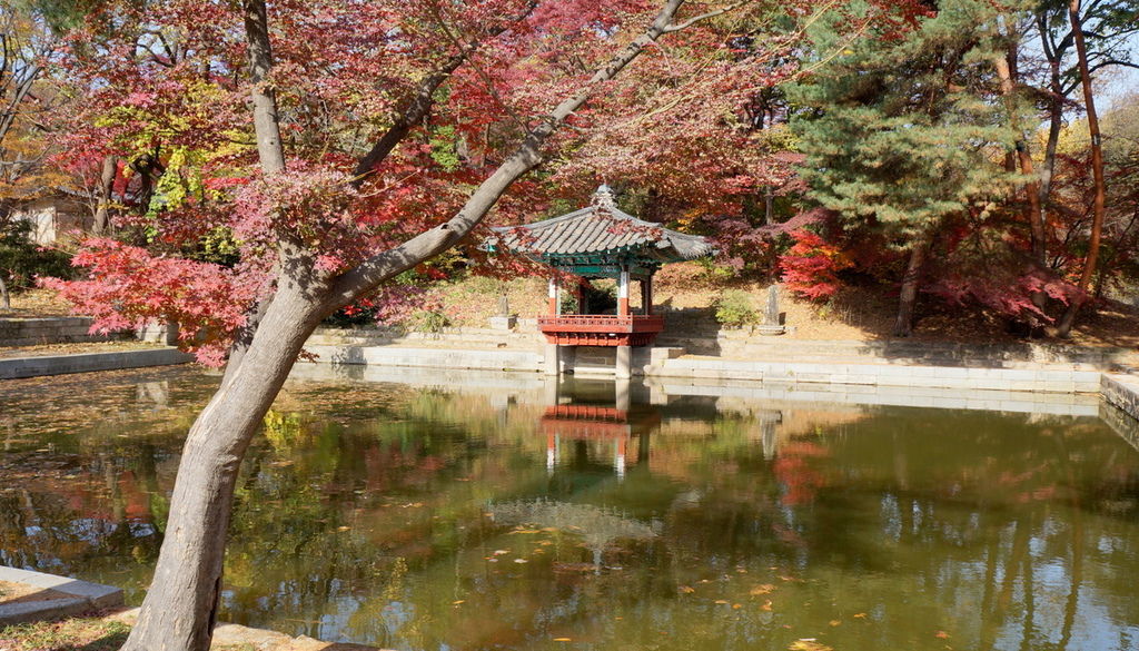 DSC02319.JPG