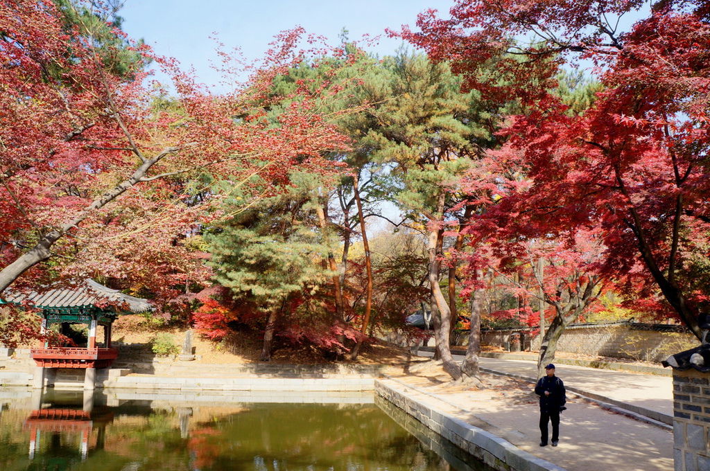 DSC02320.JPG