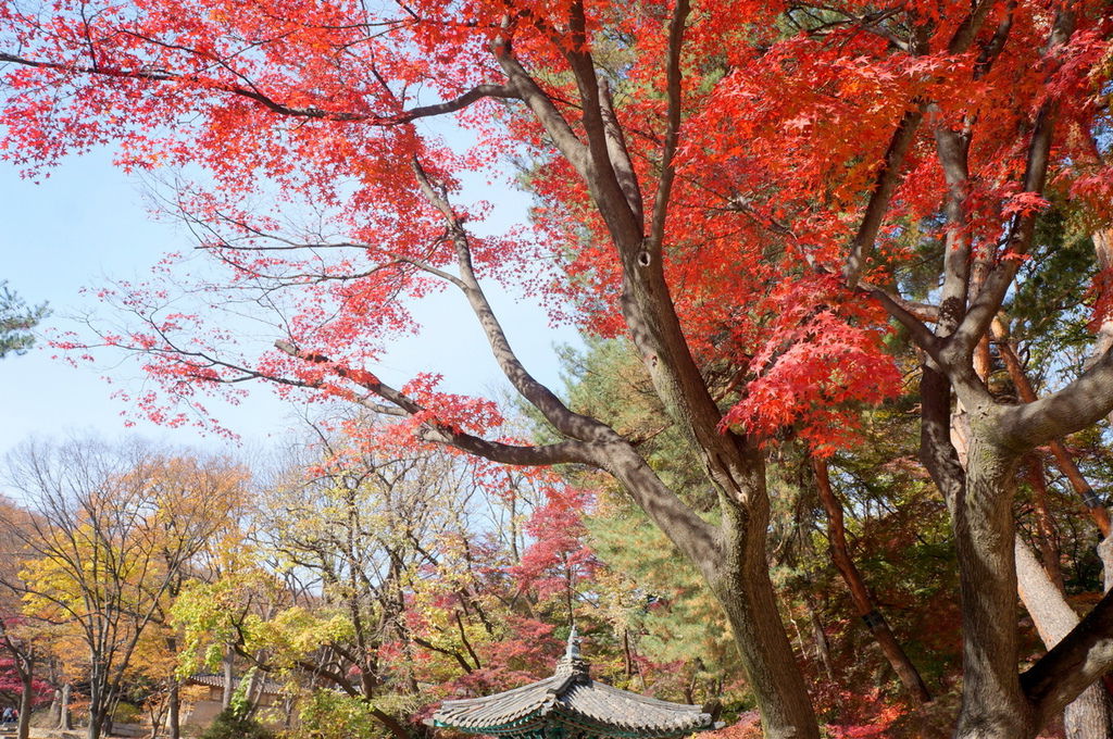 DSC02328.JPG