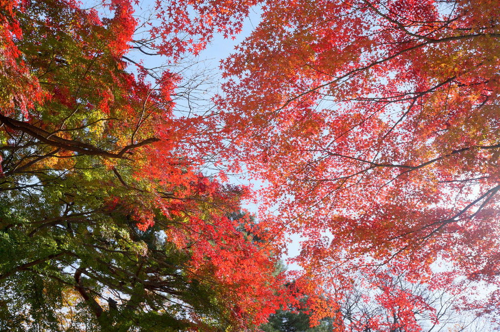DSC02330.JPG