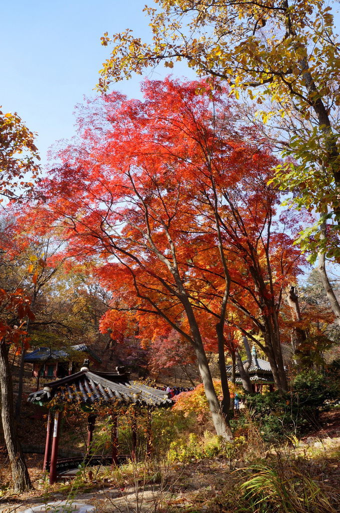 DSC02347.JPG
