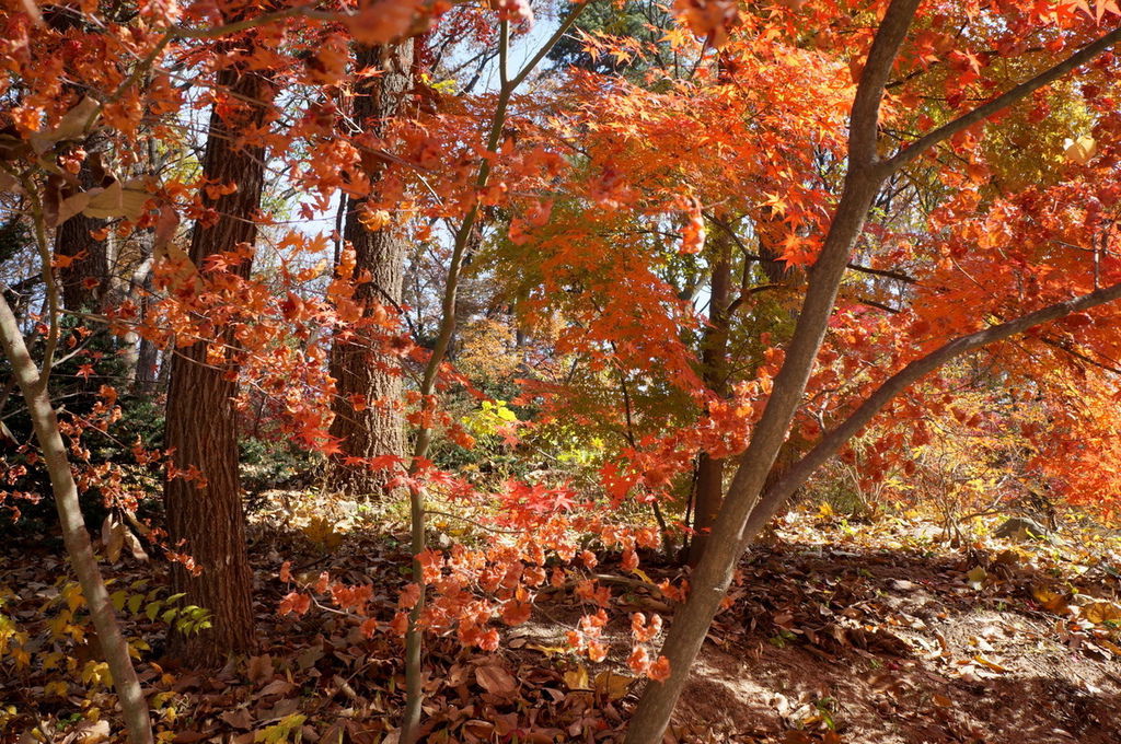 DSC02363.JPG