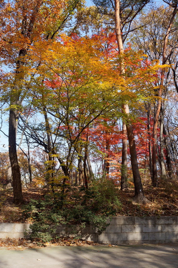 DSC02371.JPG