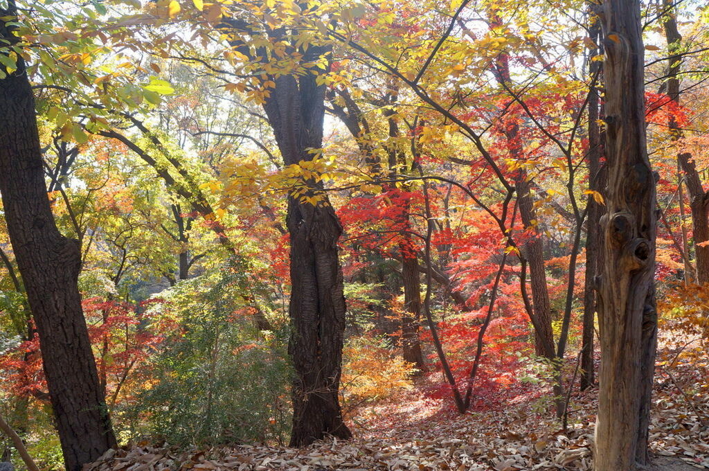 DSC02377.JPG