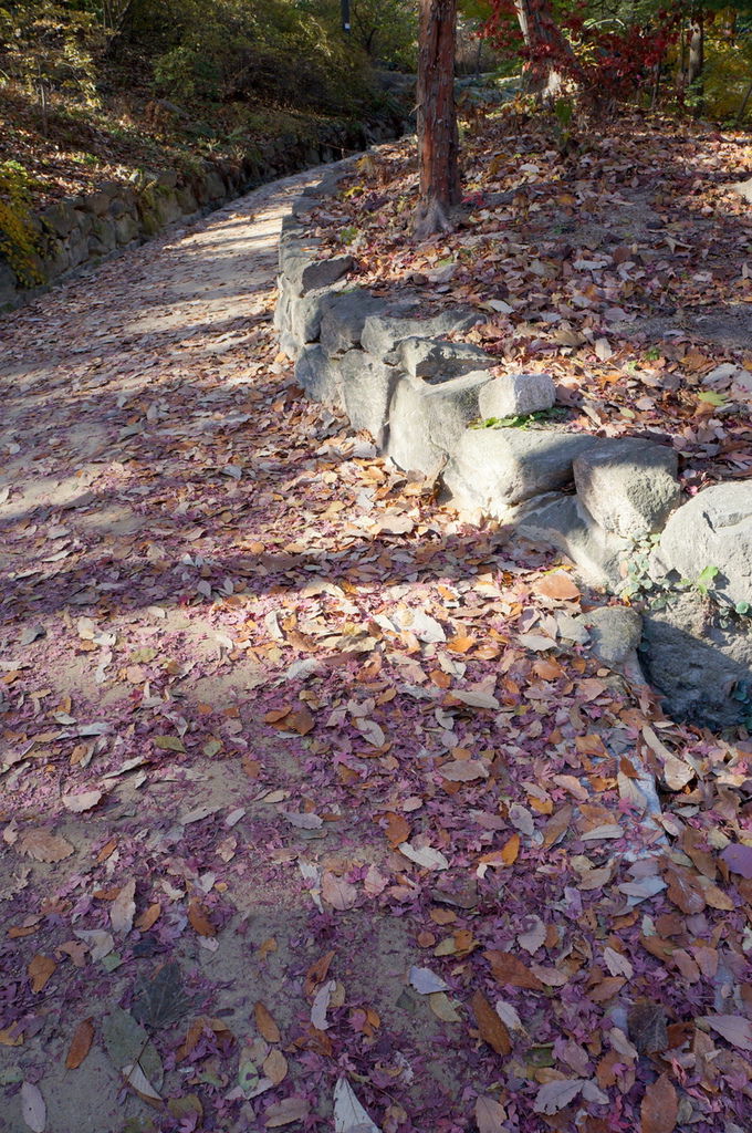 DSC02384.JPG