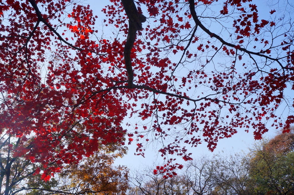 DSC02409.JPG