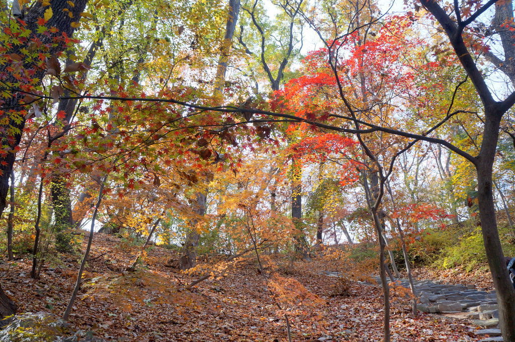 DSC02414.JPG